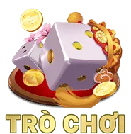 Cán bộ Bảo vệ Dữ liệu (DPO)